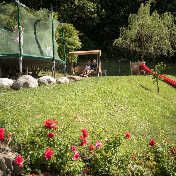 Images of the Alpenschlössel in South Tyrol